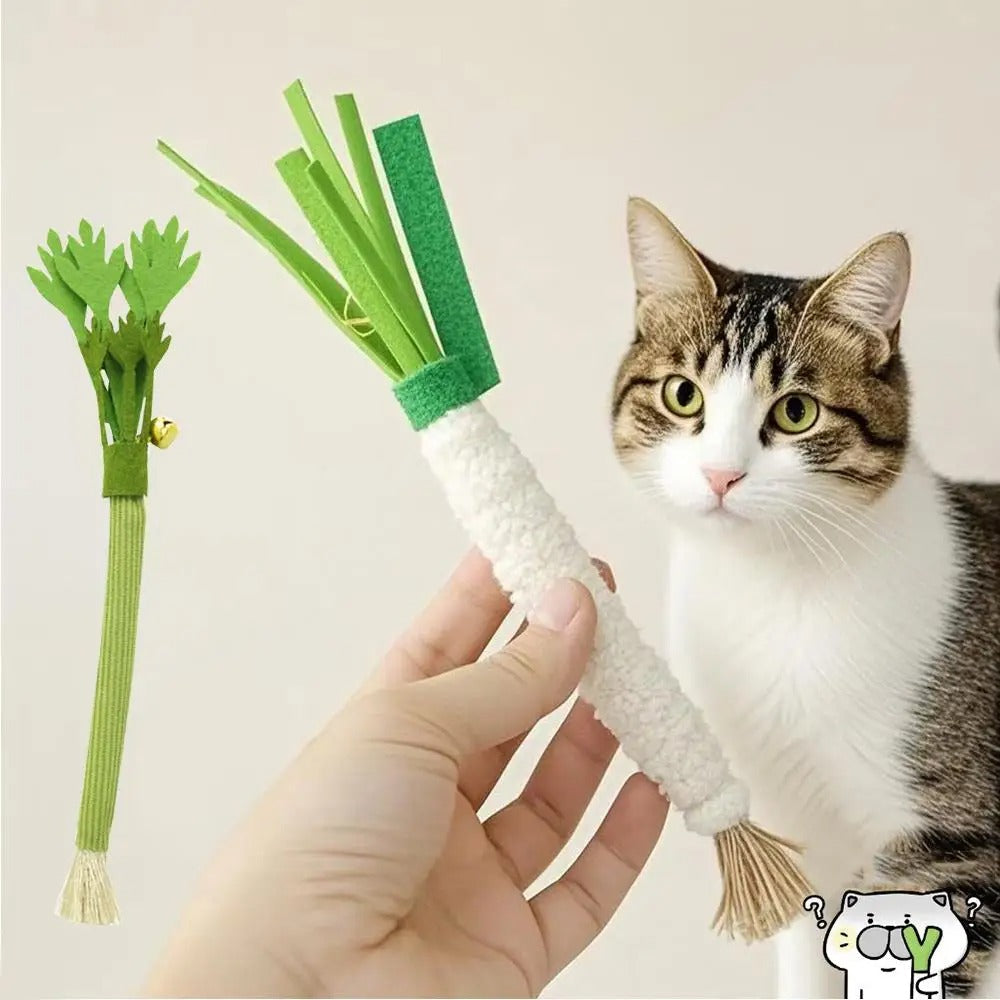 Interaktive Spielangel für Katzen