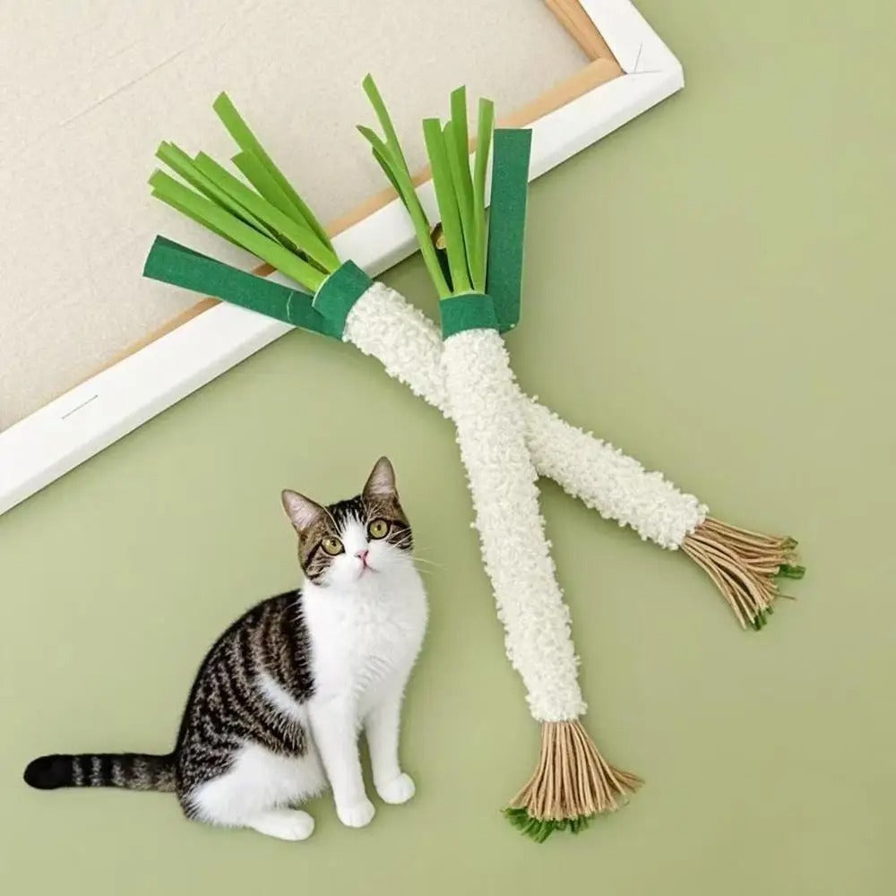 Interaktive Spielangel für Katzen